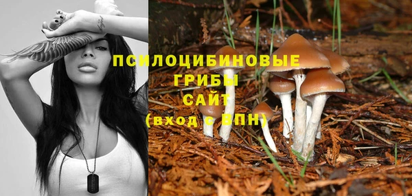 spice Алзамай