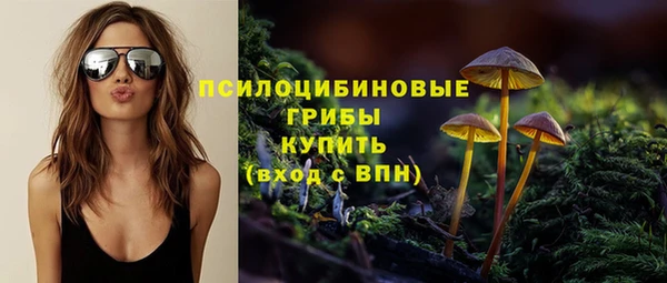 крисы Алексеевка